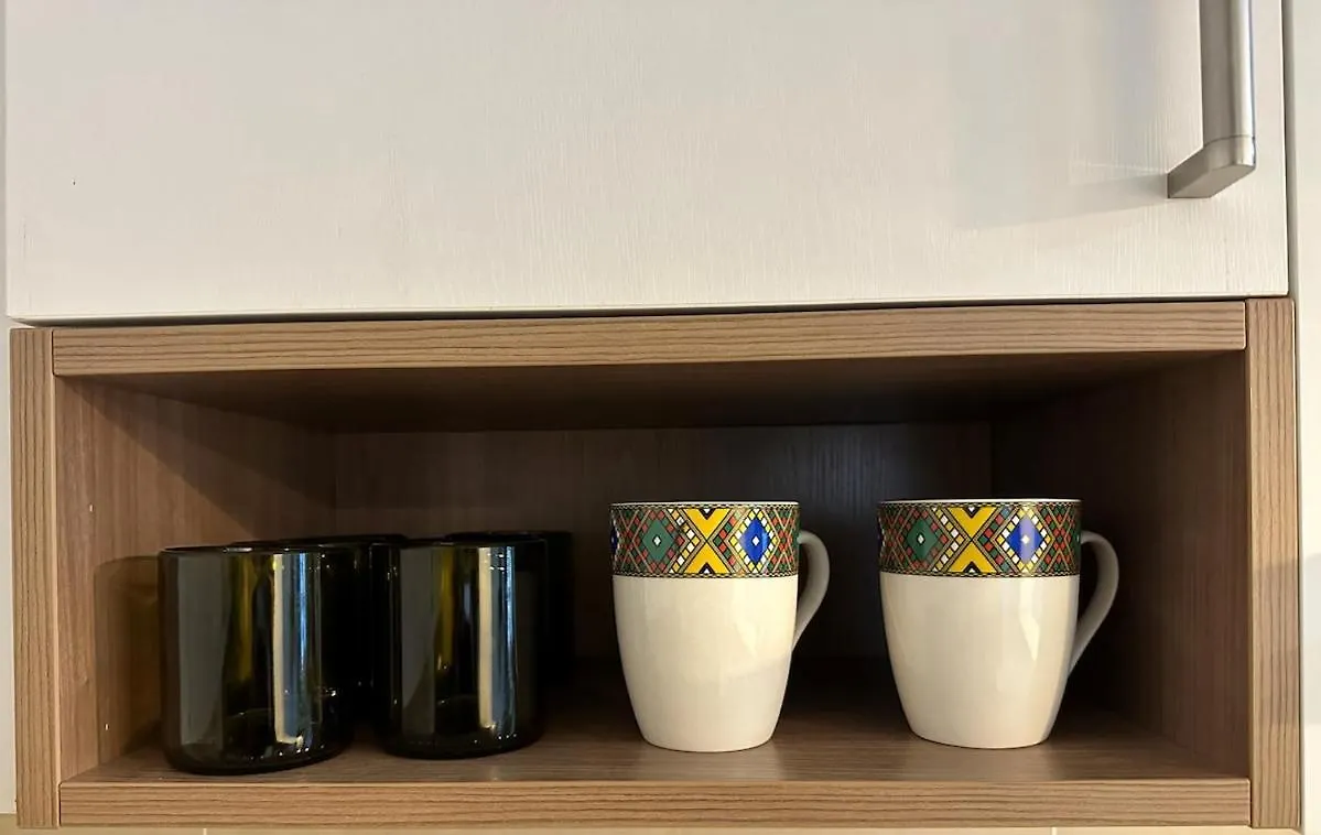 Modern Luxury In Kazanchis Addisアパートメント